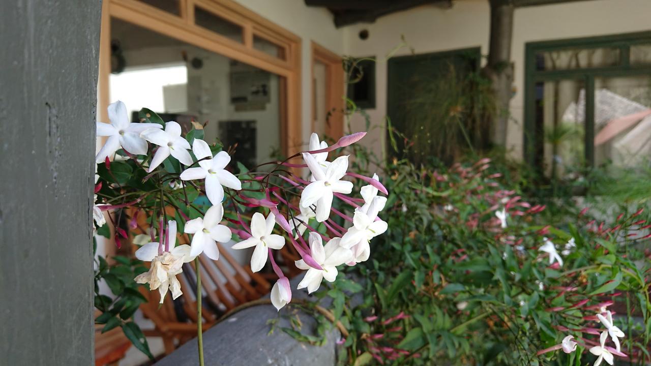 Villa Mimi Otavalo Exterior photo